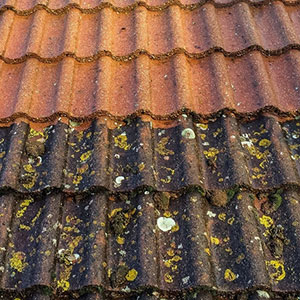 Roof-Cleaning-home